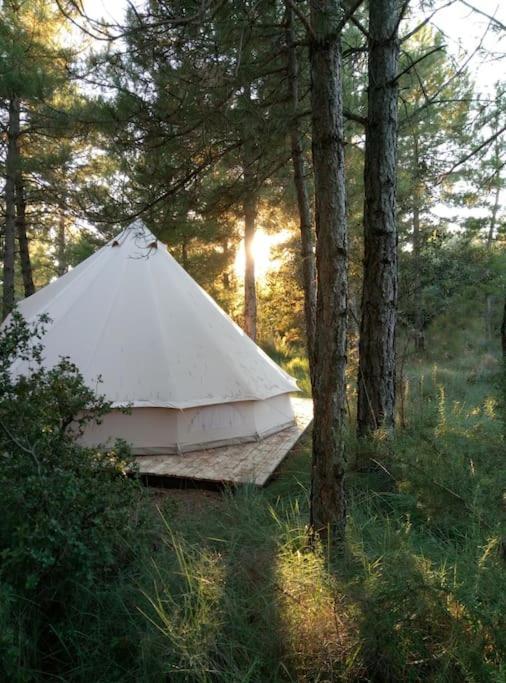 Forest Days Naves  Екстер'єр фото