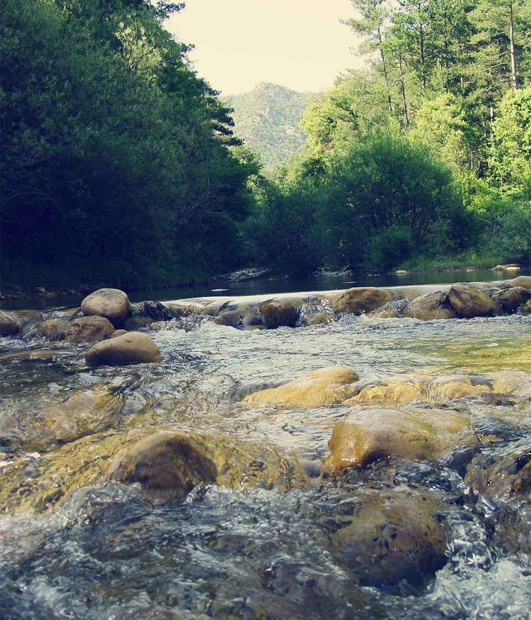 Forest Days Naves  Екстер'єр фото