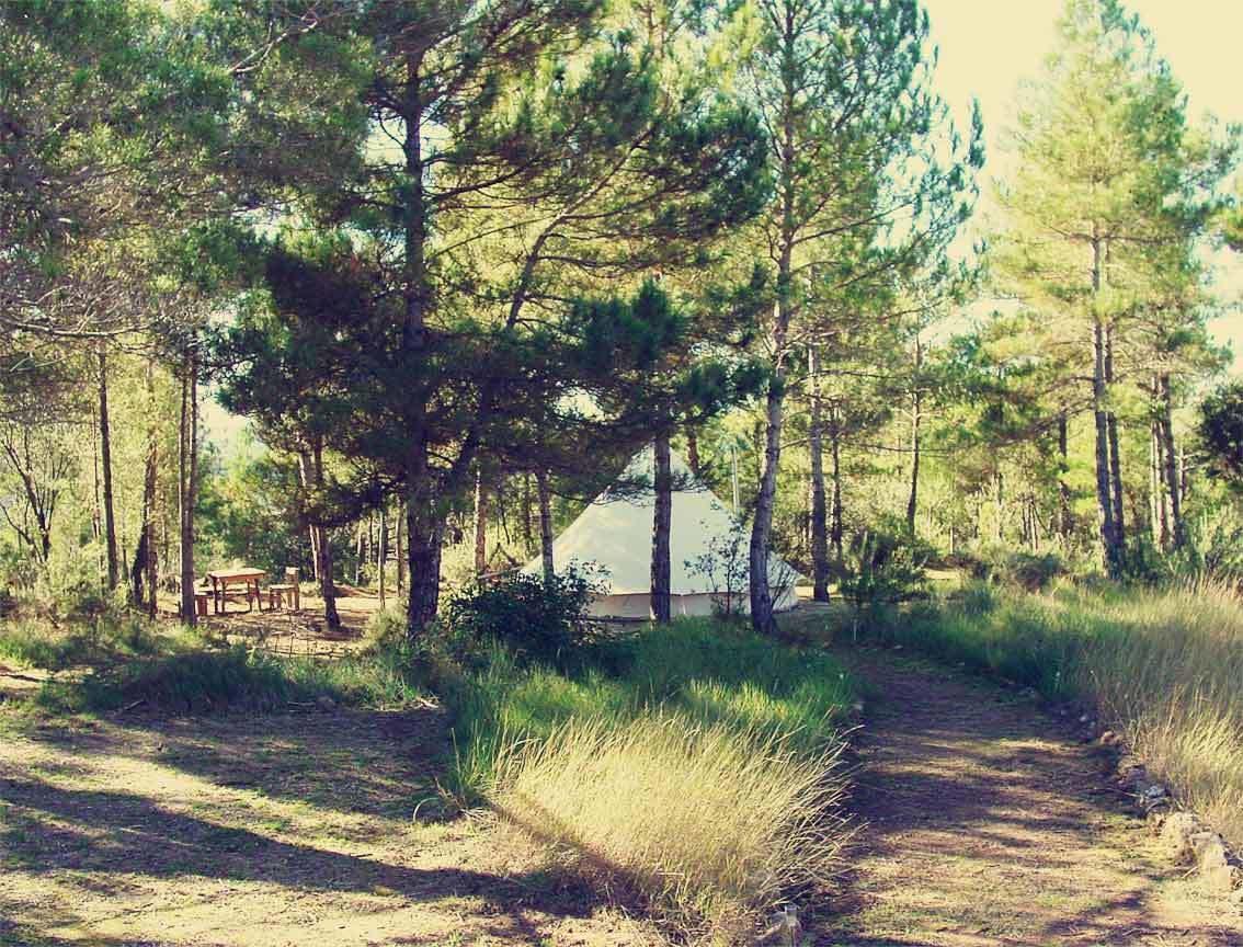 Forest Days Naves  Екстер'єр фото